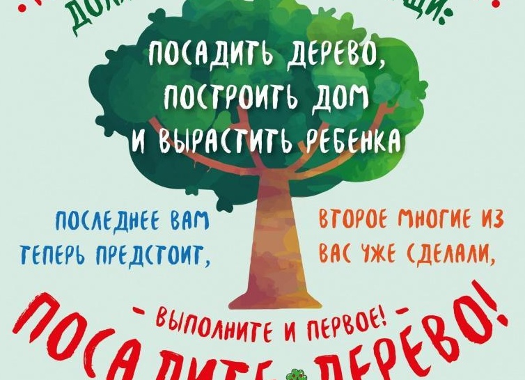 Что должен делать мужчина дома
